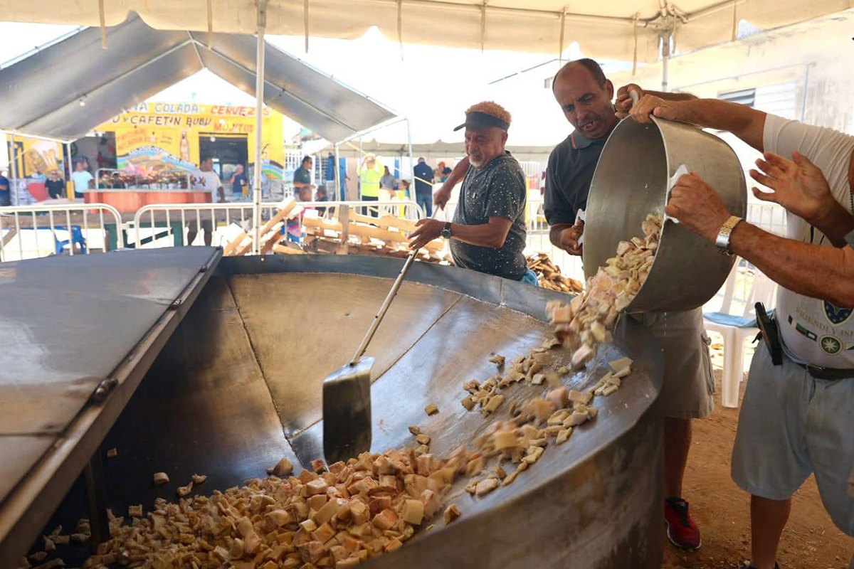 Festival de la Cultura